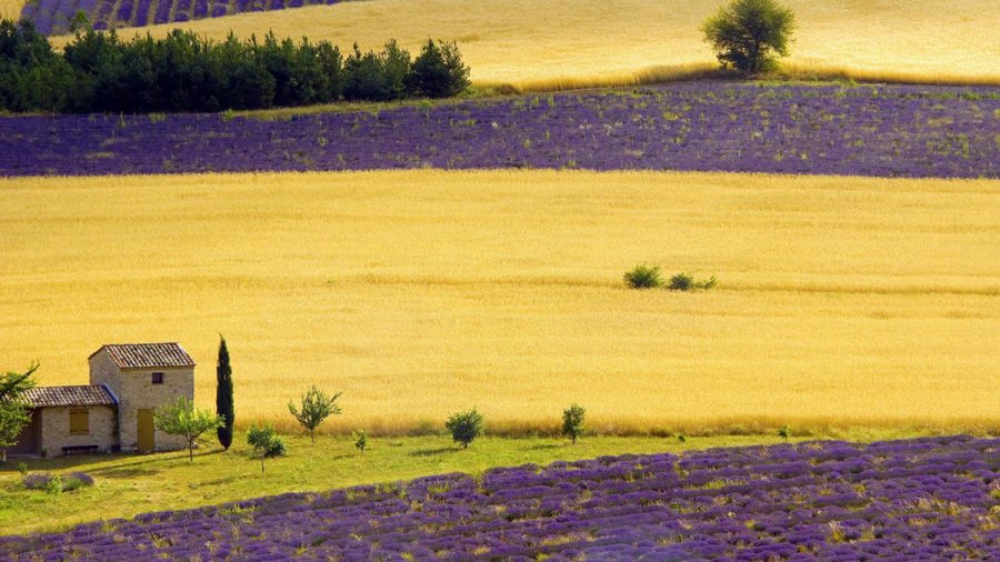 Provence, photo