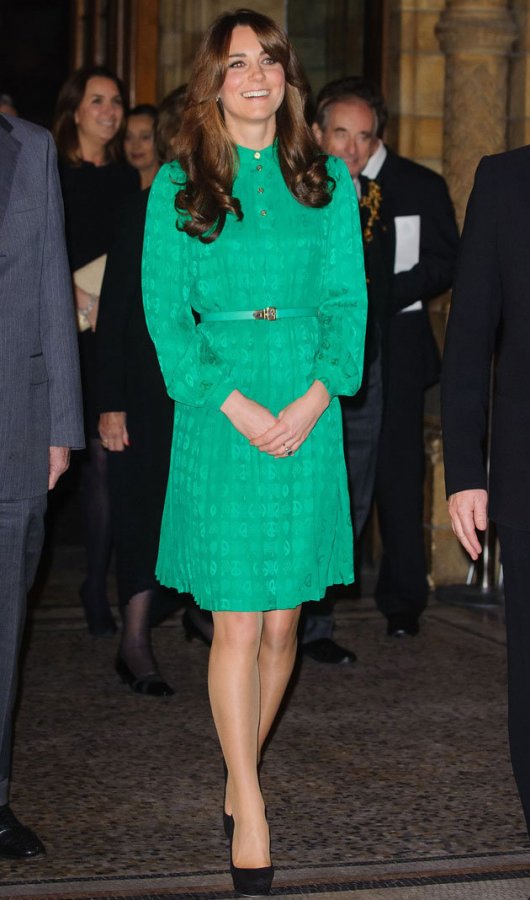 Kate Middleton Dress