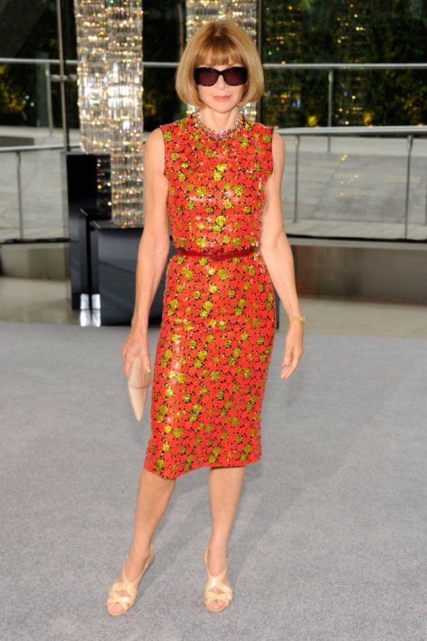 Anna Wintour's beautiful dress