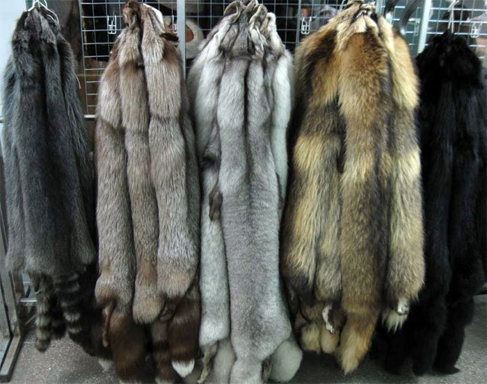 Fur of different quality and warmth