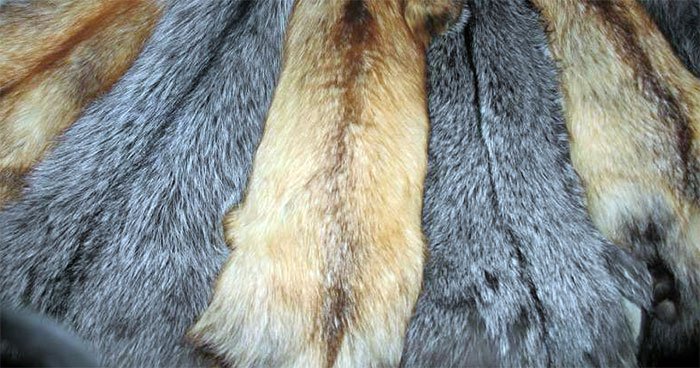 Fur skins