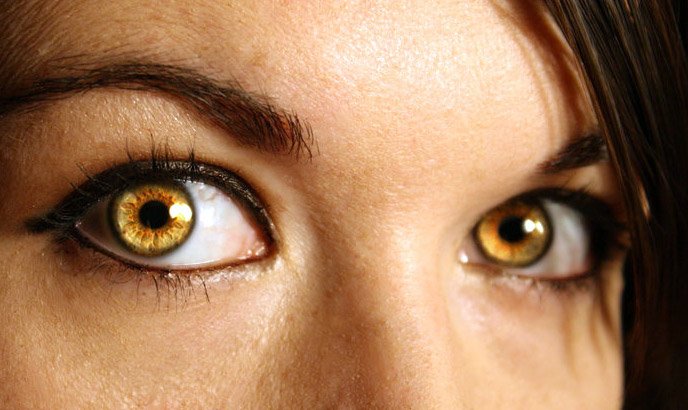 What determines the color of human eyes