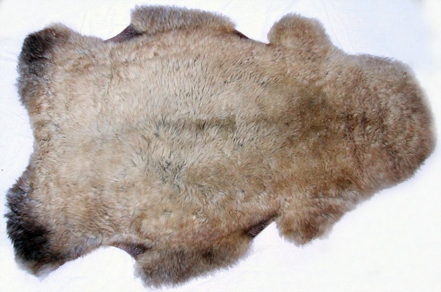 Sheep skin - sheepskin, photo