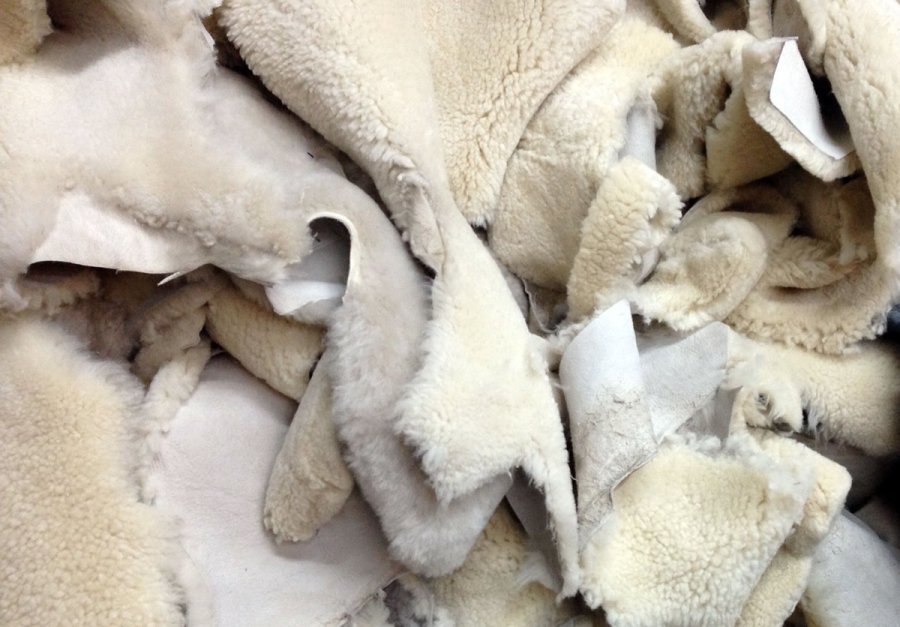 Sheep skin - sheepskin, photo