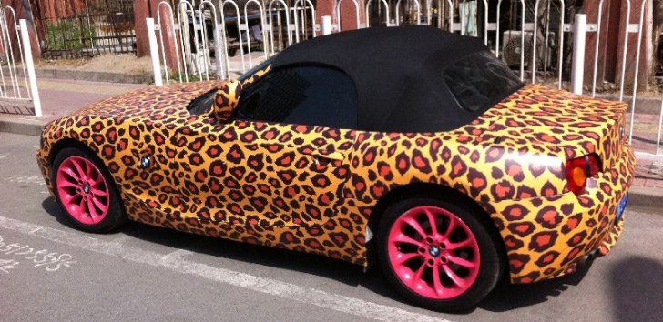 Leopard car coloring - leopard cars