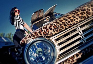 Glamorous leopard car