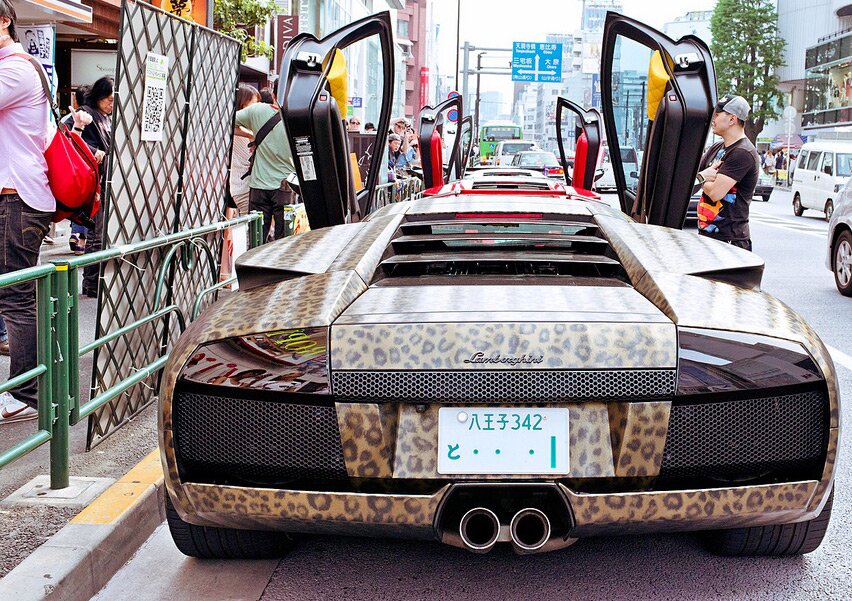 Glamorous leopard car