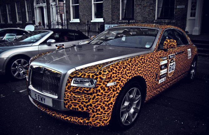 Leopard print for car