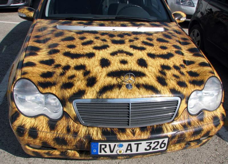 Glamorous leopard car