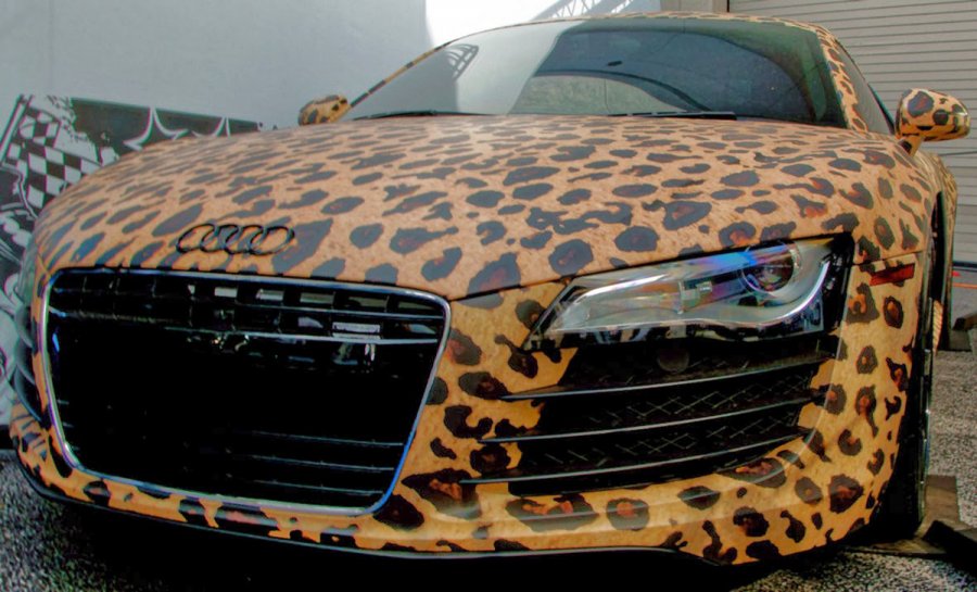 Glamorous leopard car