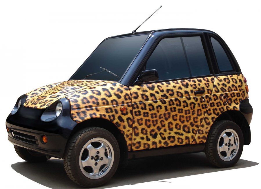 Small leopard car for a girl