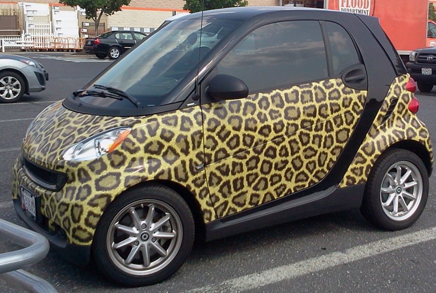 Small leopard car for a girl