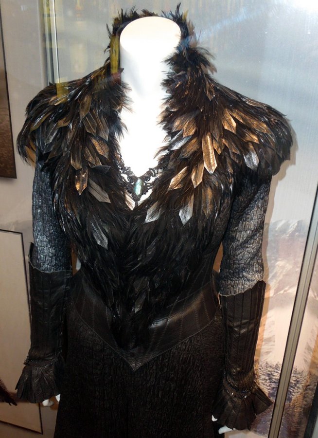 Robe de sorcière à plumes noires