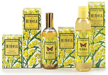 Perfumery with the scent of mimosa