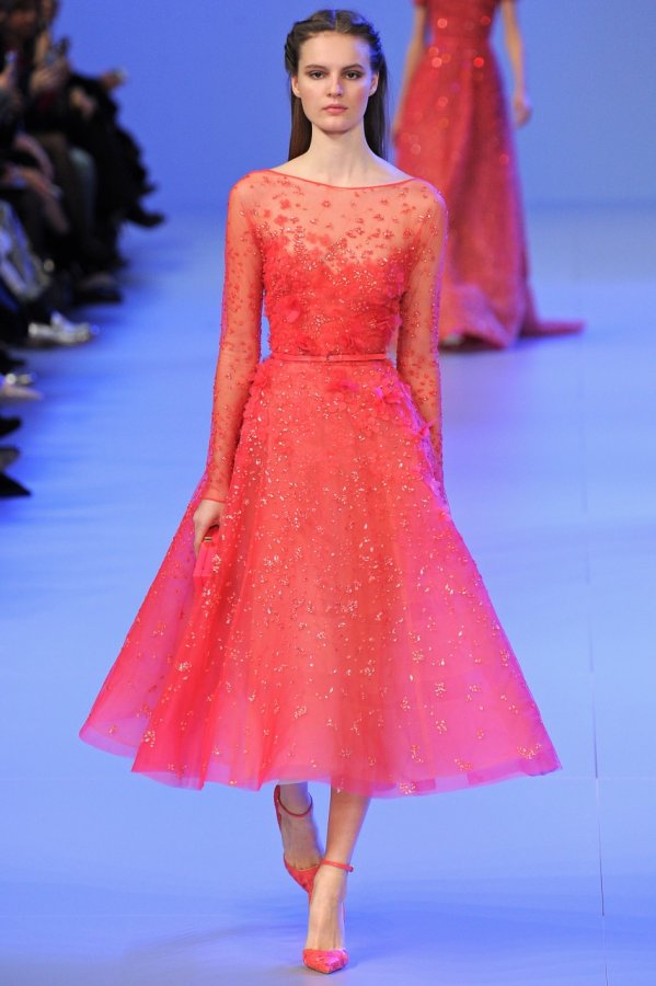 Photo of Elie Saab dress