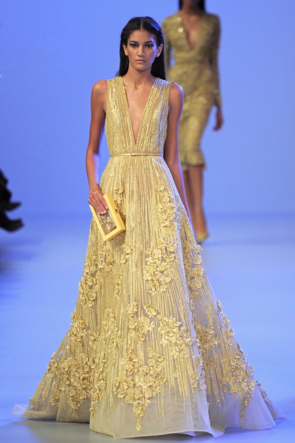 Photo of Elie Saab dress