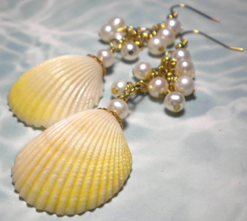 Jewelry - seashell earrings