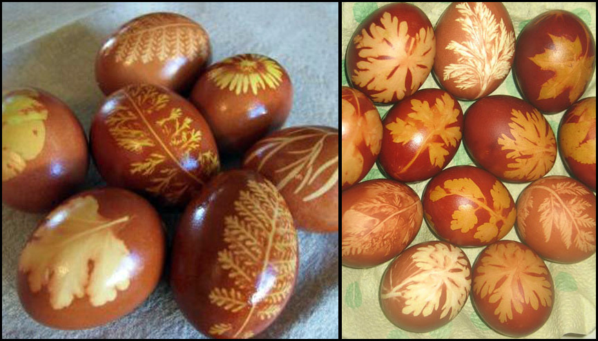 Coloring Easter eggs with onion peels