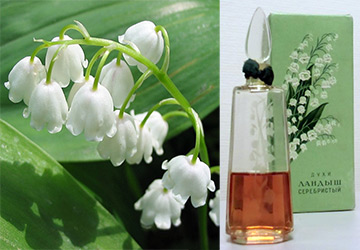 Lily of the valley silver and Diorissimo