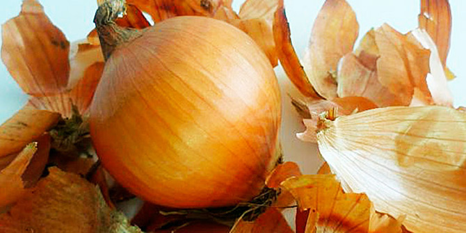 Onion peel for hair