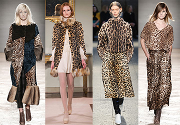 Leopard print 2024-2025