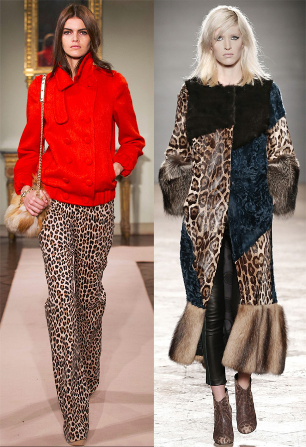 Leopard print 2024-2025