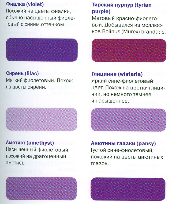 Shades of purple