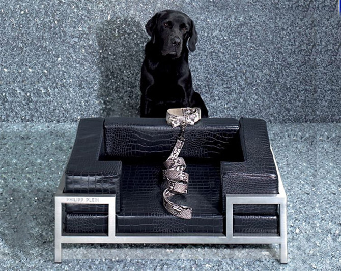 Philipp Plein dog chair