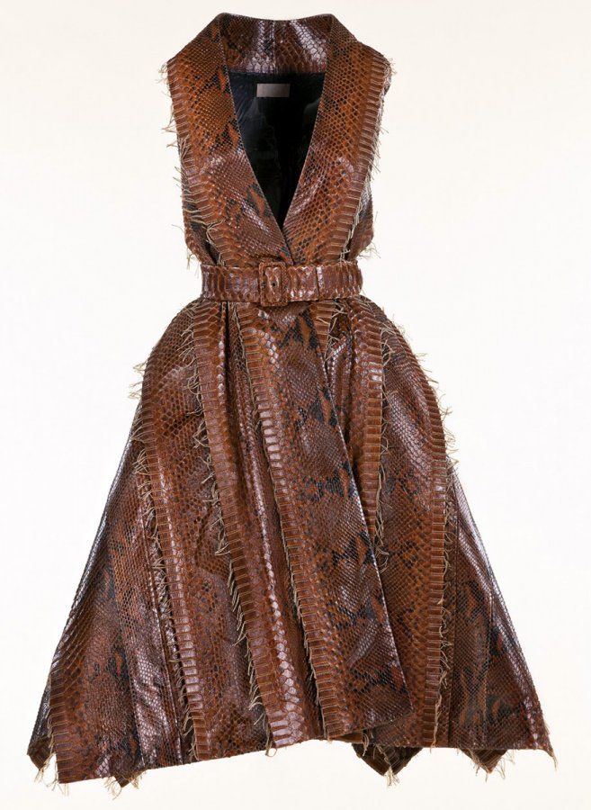 Python skin dress