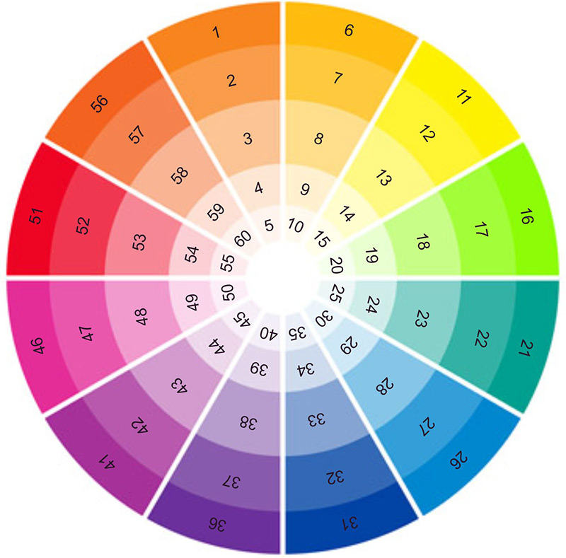 How to choose the color of the outfit for the New Year 2024