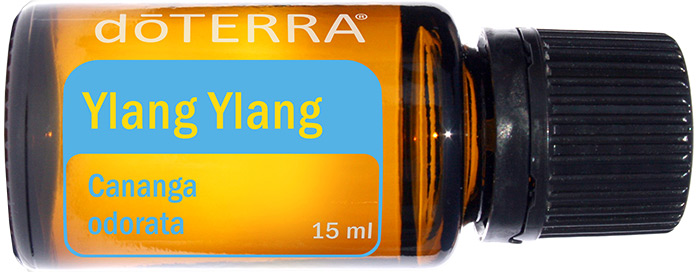 Ylang-ylang perfumery