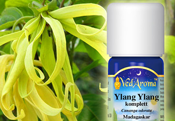 Ylang Ylang essential oil