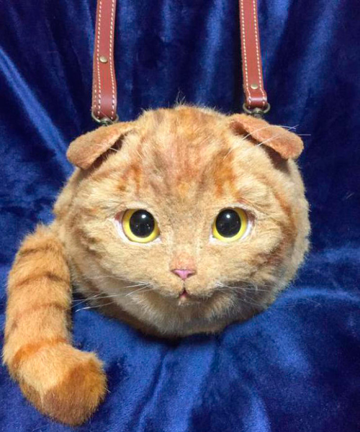 Cat bag