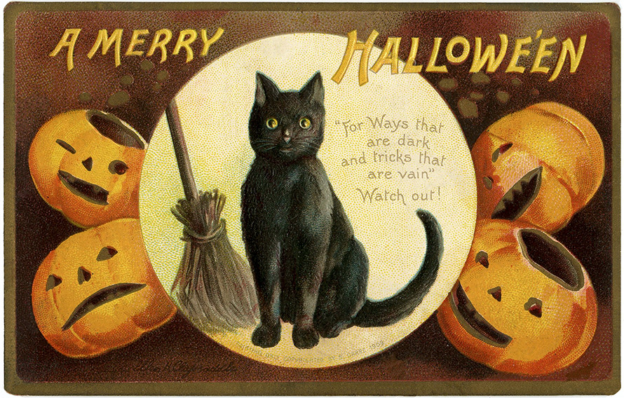 Halloween and cats of the Middle Ages