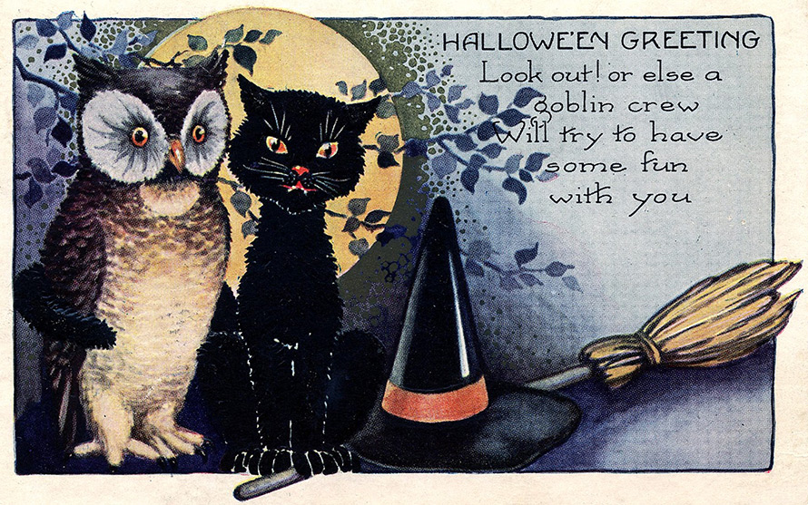 Halloween black cats