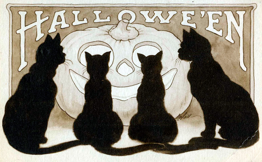 Halloween black cats