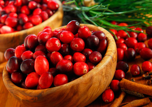 Useful properties of cranberries for health and beauty