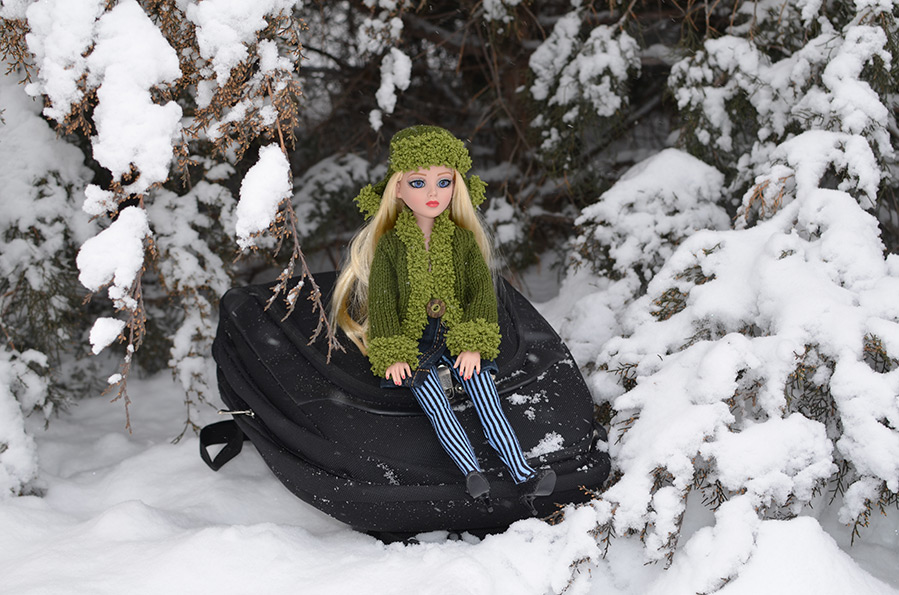 Winter photo session for your favorite doll