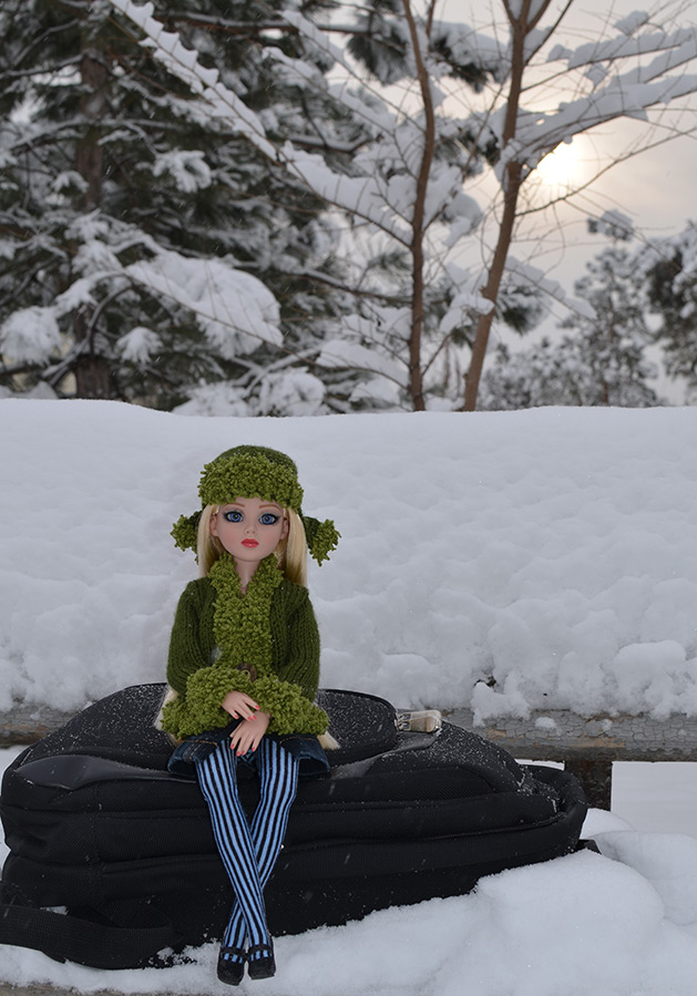 Doll Tonner photo in the snow