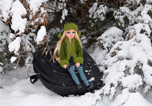 Winter photo session for your favorite doll