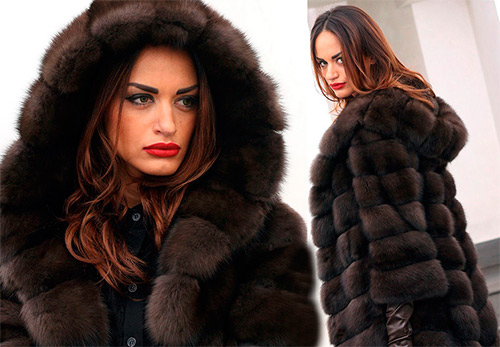 All about sable fur in fashion and history