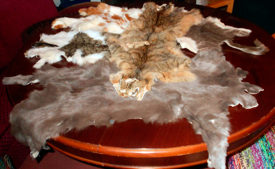 Fur products from cats in China