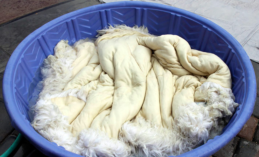 Hand wash sheep skins