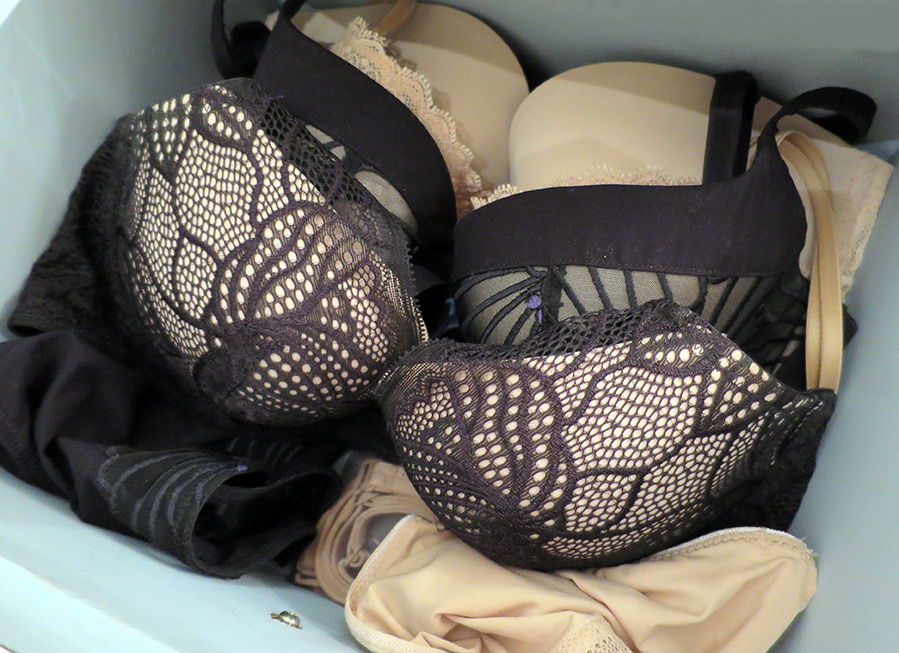 What bras does a modern girl need?