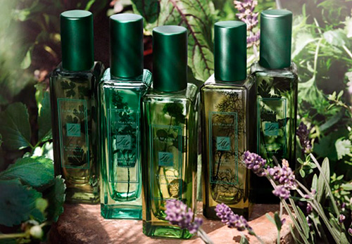 New aromas of spring and summer - choosing the best