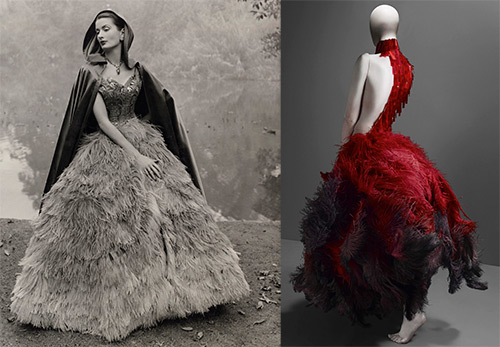 Dresses and skirts with ostrich feathers and ostrich feathers in history