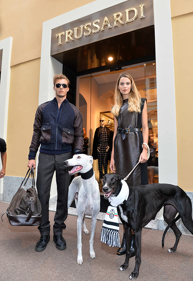 Collars and fashionable clothes for dogs from Trussardi