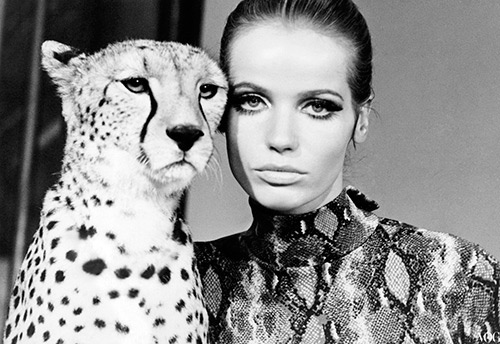 The best photos of the supermodel Veruschka