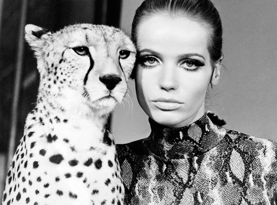 Verushka with a cheetah