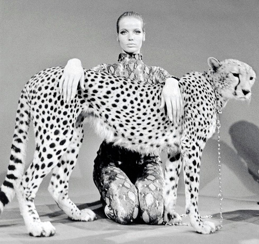 Verushka with a cheetah